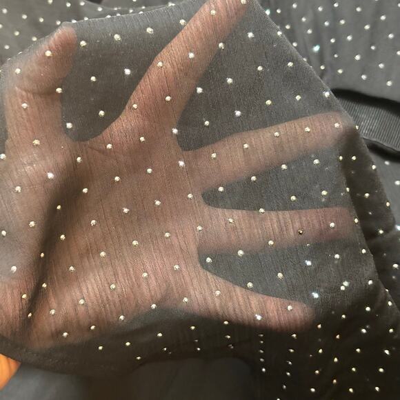 Ann Taylor Sheer Black Skirt  XL Midi Emblished  Lined Elastic band Gothromance - Picture 2 of 9